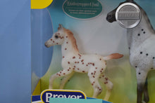 Load image into Gallery viewer, Spotted Wonders #2-Standing Thoroughbred and Warmblood Foal Molds-Breyer Classic