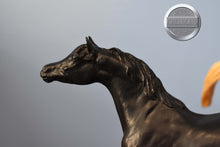 Load image into Gallery viewer, Black Stallion Returns Set-Black Stallion Johar and Sagr Mold-Breyer Classic