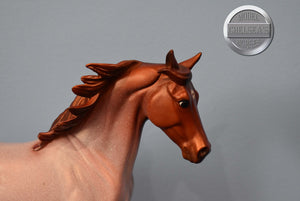 Im Yours-Bluegrass Bandit Mold-Collector Club Web Special-Breyer Traditional