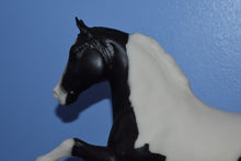 Load image into Gallery viewer, Three Pintos Collector Set-TWH and Gelding ONLY-Breyer Traditional