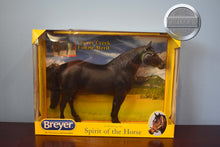 Load image into Gallery viewer, Cherry Creek Fonzie Merit-Adios Mold-New In Box-Breyer Traditional