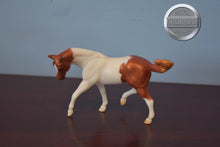 Load image into Gallery viewer, Mystery Horse Surprise Series Two-Appaloosa Mold-Breyer Stablemates