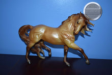 Load image into Gallery viewer, Apollo-Esprit Mold-Limited Edition-Breyer Traditional