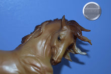 Load image into Gallery viewer, Apollo-Esprit Mold-Limited Edition-Breyer Traditional