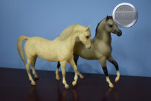 Load image into Gallery viewer, Drinkers of The Wind-Arabian Stallion and Johar Mold ONLY-Breyer Classic