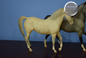 Drinkers of The Wind-Arabian Stallion and Johar Mold ONLY-Breyer Classic