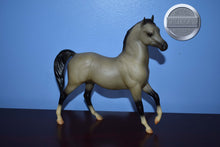 Load image into Gallery viewer, Drinkers of The Wind-Arabian Stallion and Johar Mold ONLY-Breyer Classic