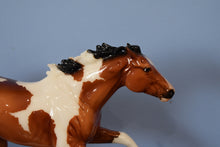 Load image into Gallery viewer, Glossy Bay Tobiano Dark Horse Surprise-Smarty Jones Mold-Breyerfest Special Run-Breyer Traditional