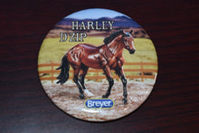 Load image into Gallery viewer, Assorted Buttons-Portrait Horses and Breyerfest Buttons