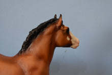 Load image into Gallery viewer, Bluebell-Clydesdale Foal Mold-Breyer Traditional