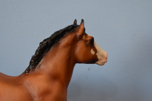 Bluebell-Clydesdale Foal Mold-Breyer Traditional