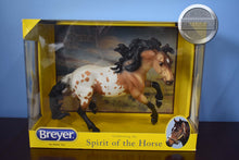 Load image into Gallery viewer, Toro-Nokota Mold-New In Box-Breyer Traditional