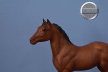 Load image into Gallery viewer, Bay Quarter Horse Stock Foal with Vintage Box-Stock Horse Foal Mold-Breyer Traditional