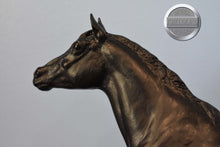 Load image into Gallery viewer, Black Beauty 1991-Morganglanz Mold-Breyer Traditional