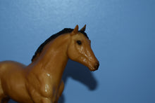 Load image into Gallery viewer, Buckskin Action Stock Horse Foal-Breyer Traditional