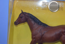 Load image into Gallery viewer, Bay Quarter Horse Stallion-Stock Horse Stallion Mold-New In Box-Breyer Traditional