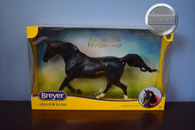Load image into Gallery viewer, KB Omega Fahim-Shagya Arabian Mold-New In Box-Breyer Traditional