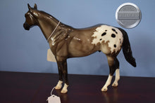 Load image into Gallery viewer, Blanket Appaloosa-Unknown ID-Glossy Finish-ISH Mold-Peter Stone
