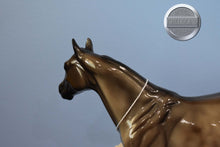 Load image into Gallery viewer, Blanket Appaloosa-Unknown ID-Glossy Finish-ISH Mold-Peter Stone