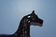 Load image into Gallery viewer, Bedoiun Christmas Arabian 2002-Peter Stone
