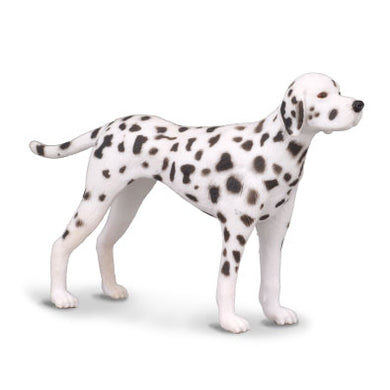 Dalmation-#88072-CollectA