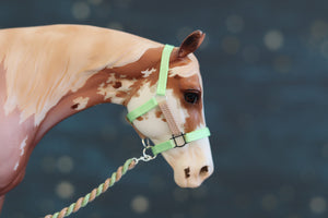 Custom Traditional Sized Halters-From 907 Tack Shop-Accessories