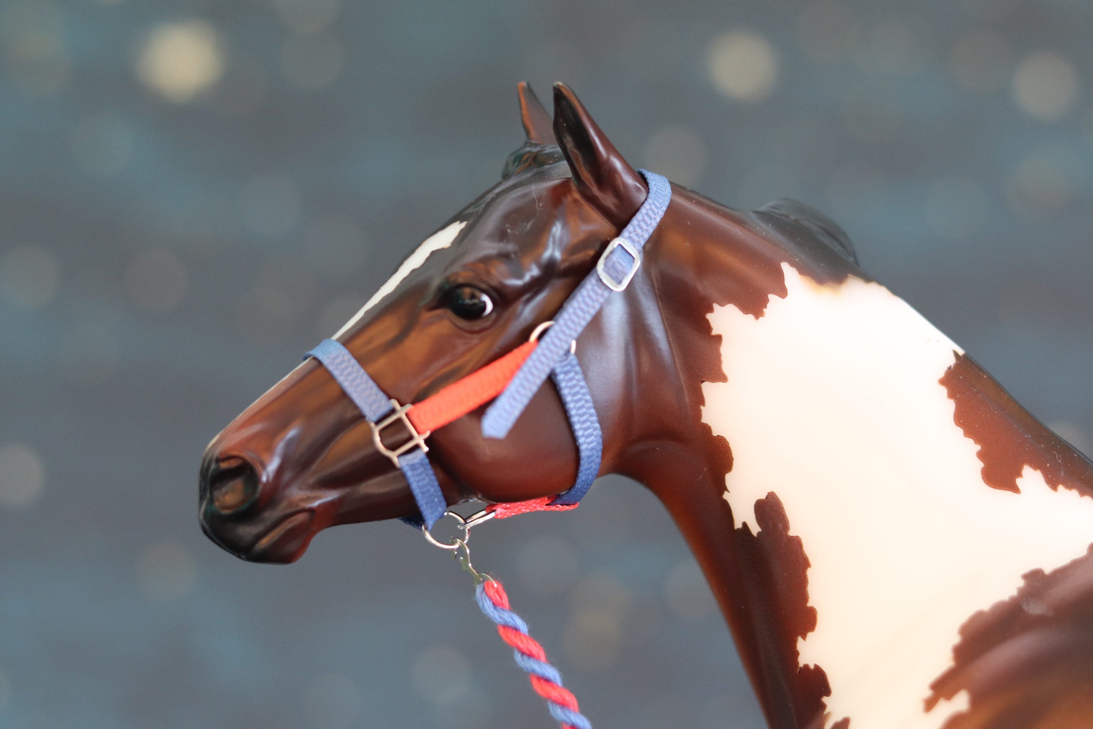 Custom Traditional Sized Halters-From 907 Tack Shop-Accessories