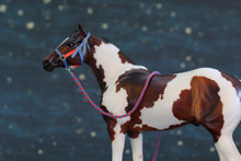 Load image into Gallery viewer, Custom Traditional Sized Halters-From 907 Tack Shop-Accessories