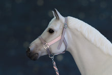 Load image into Gallery viewer, Custom Traditional Sized Halters-From 907 Tack Shop-Accessories