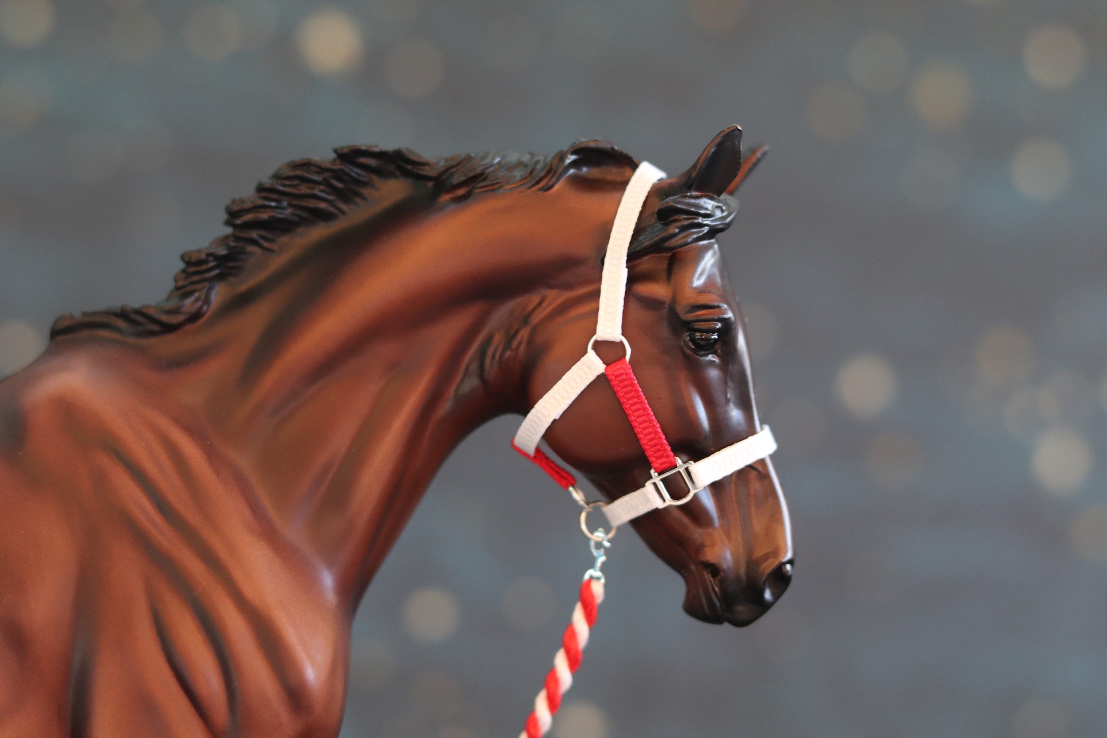 Custom Traditional Sized Halters-From 907 Tack Shop-Accessories