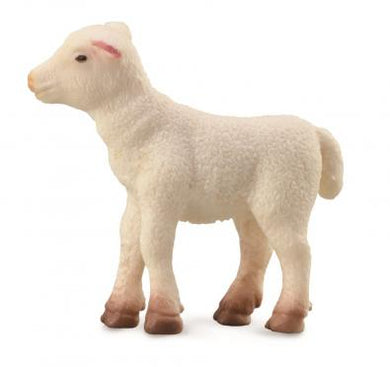 Lamb (Standing)-#88009-CollectA