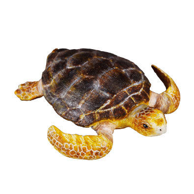 Loggerhead Turtle-#88094-CollectA