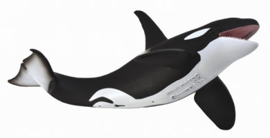 Orca-#88043-CollectA