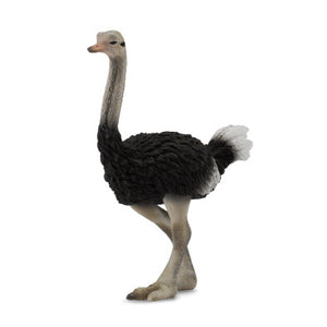 Ostrich-#88459-Breyer CollectA