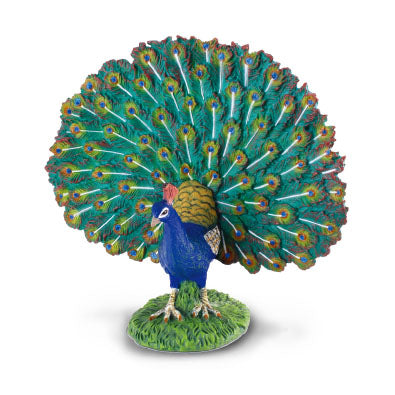 Peacock-#88209-CollectA