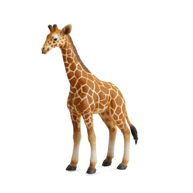 Reticulated Giraffe Calf-#88535-Breyer CollectA