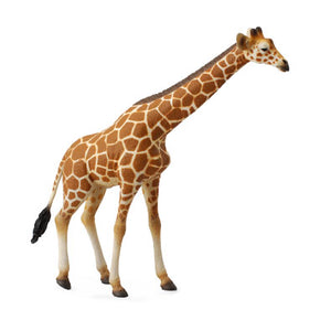Reticulated Giraffe-#88534-CollectA