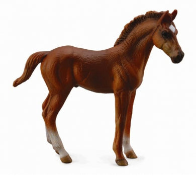 Chestnut Thoroughbred Foal (Standing)-#88671-CollectA