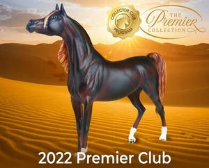 Zafirah-Premier Club 2022 Exclusive-NEW SCULPT-Breyer Traditional