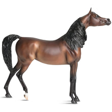 Load image into Gallery viewer, RD Marciea Bey-Show Stance Arabian Mare Mold-Breyer Traditional