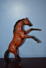 Load image into Gallery viewer, Woody-Rearing Horse-Limited Edition-Peter Stone