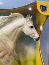 Load image into Gallery viewer, Ashton-Tractor Supply Exclusive-New in Box-Loping Quarter Horse Mold-Breyer Traditional