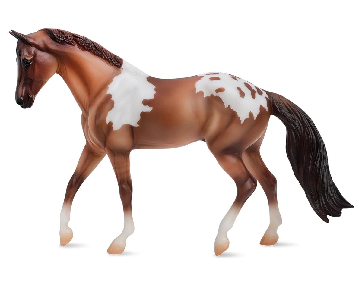 レアREGAL 2021 year model Horse Leather レアREGAL 2021 year model Horse Leather