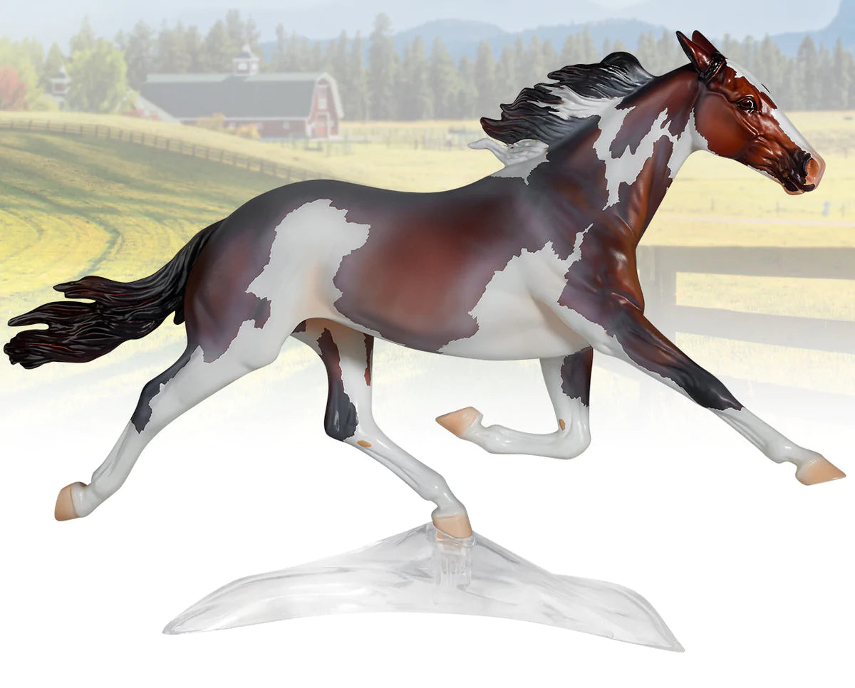 Breyer premier store constantia