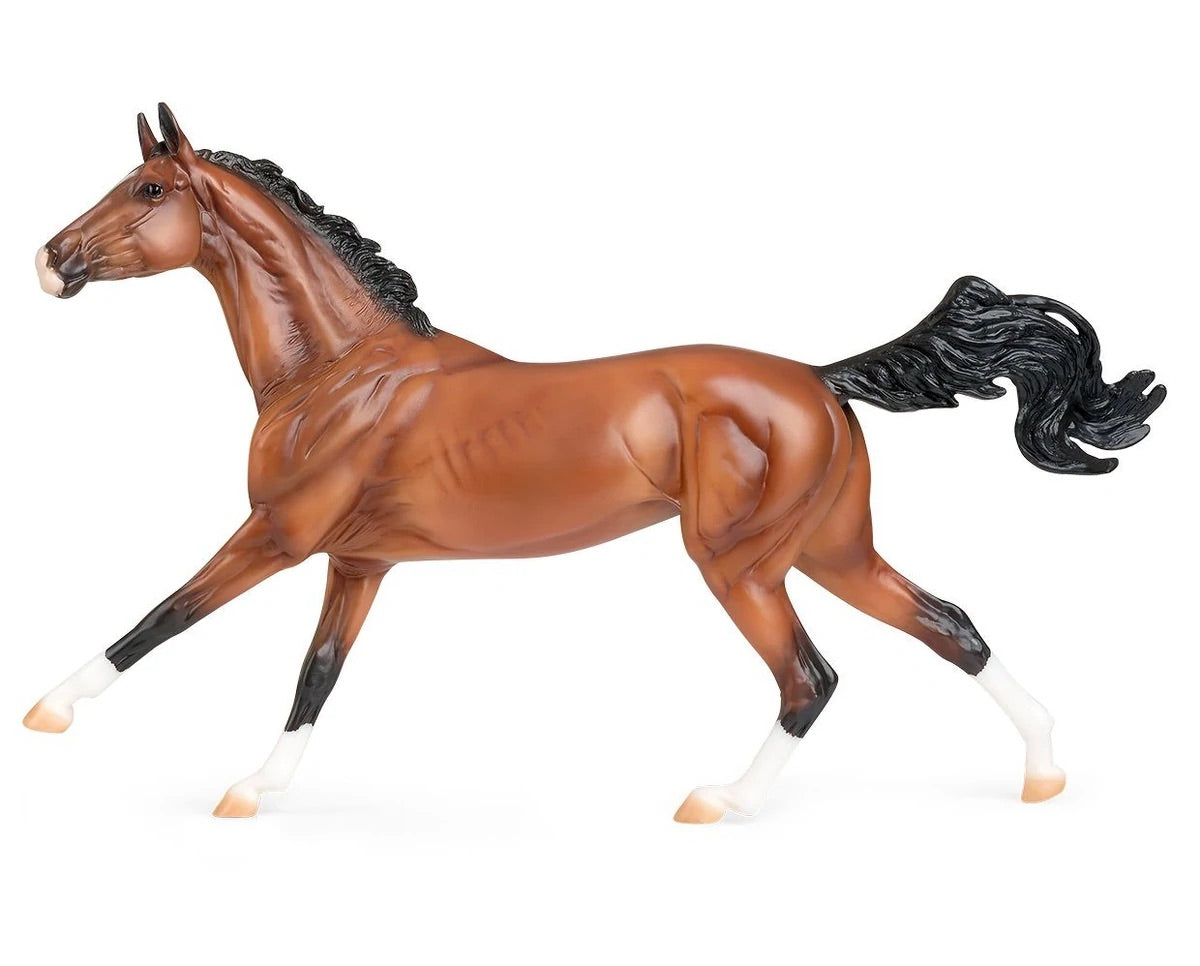 レアREGAL 2021 year model Horse Leather レアREGAL 2021 year model Horse Leather レアREGAL 2021 year